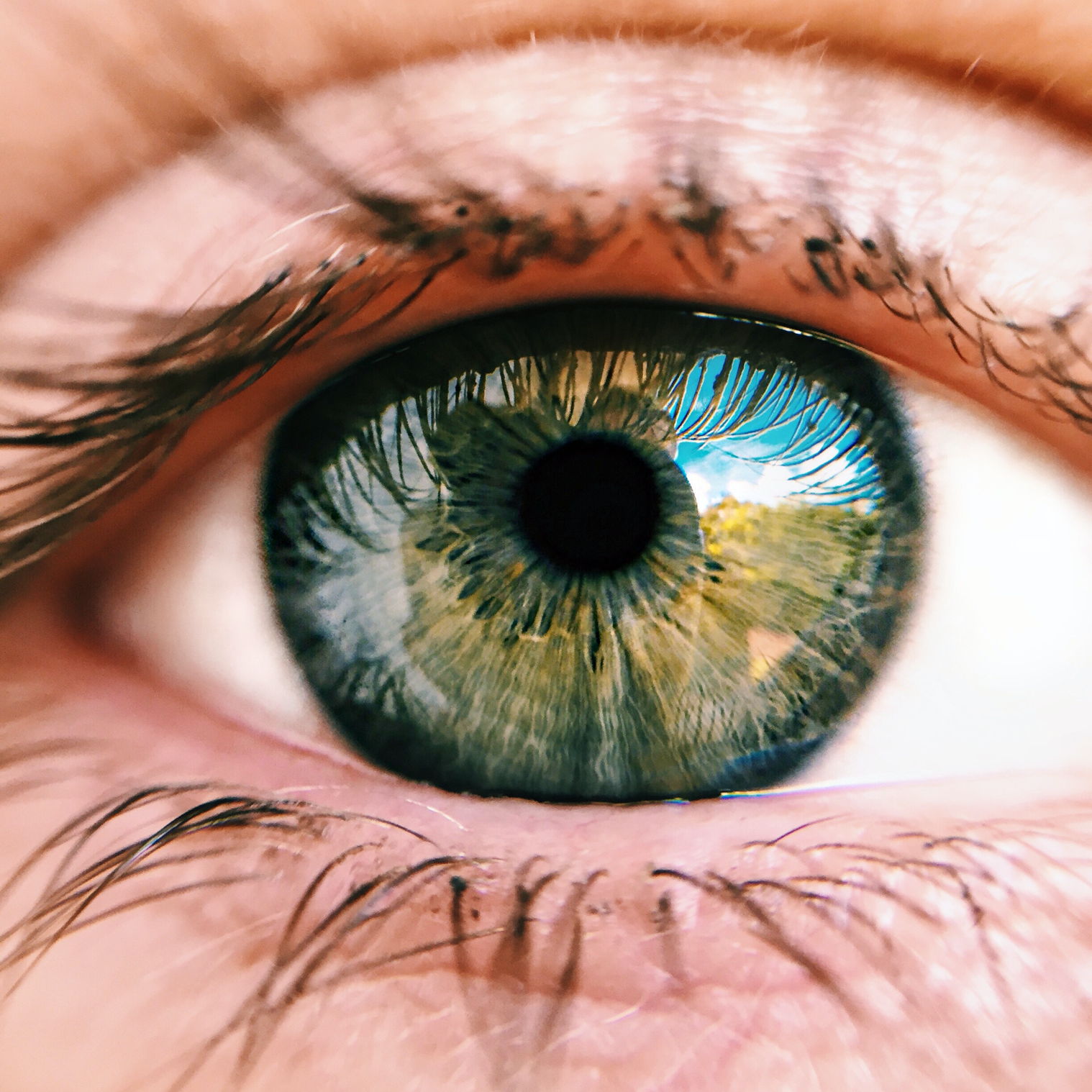 vision